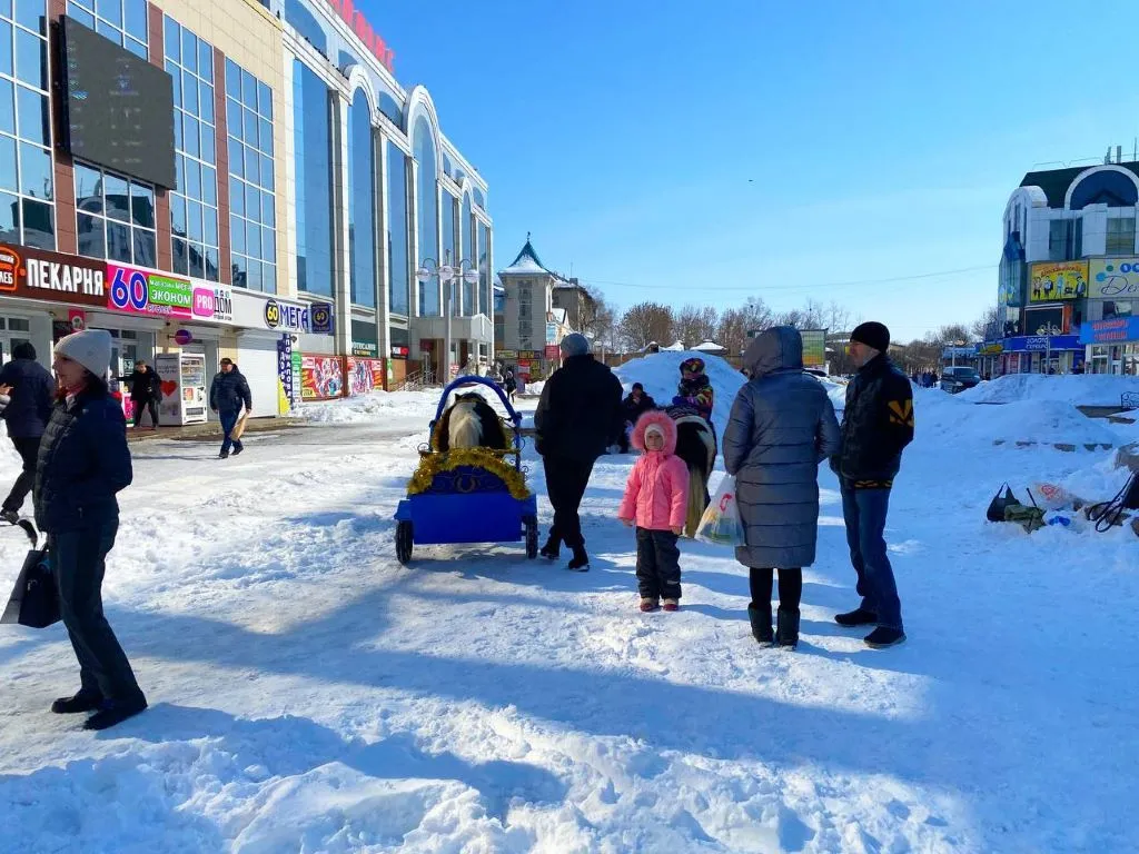 Гололедица, дымка и снег - какую погоду прогнозируют в ЕАО на 12 марта