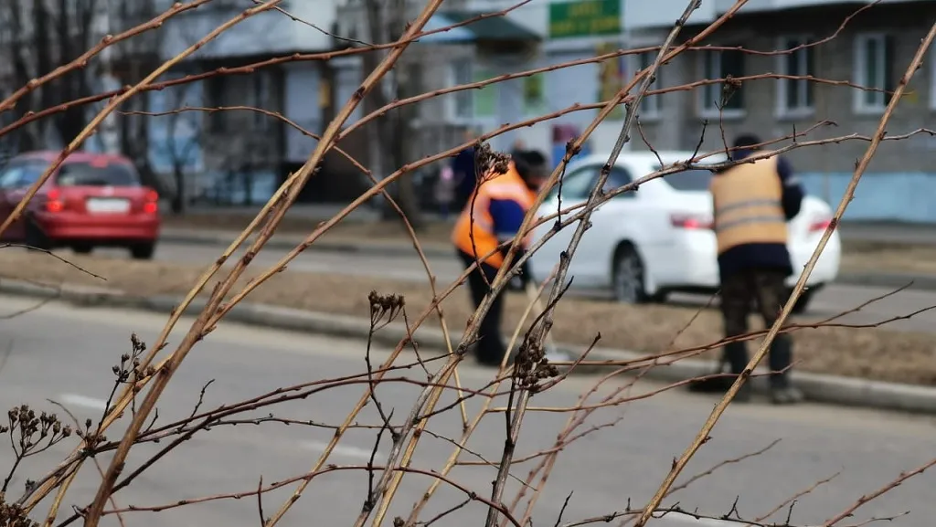 Уже на этой неделе в ЕАО пройдёт общеобластной субботник