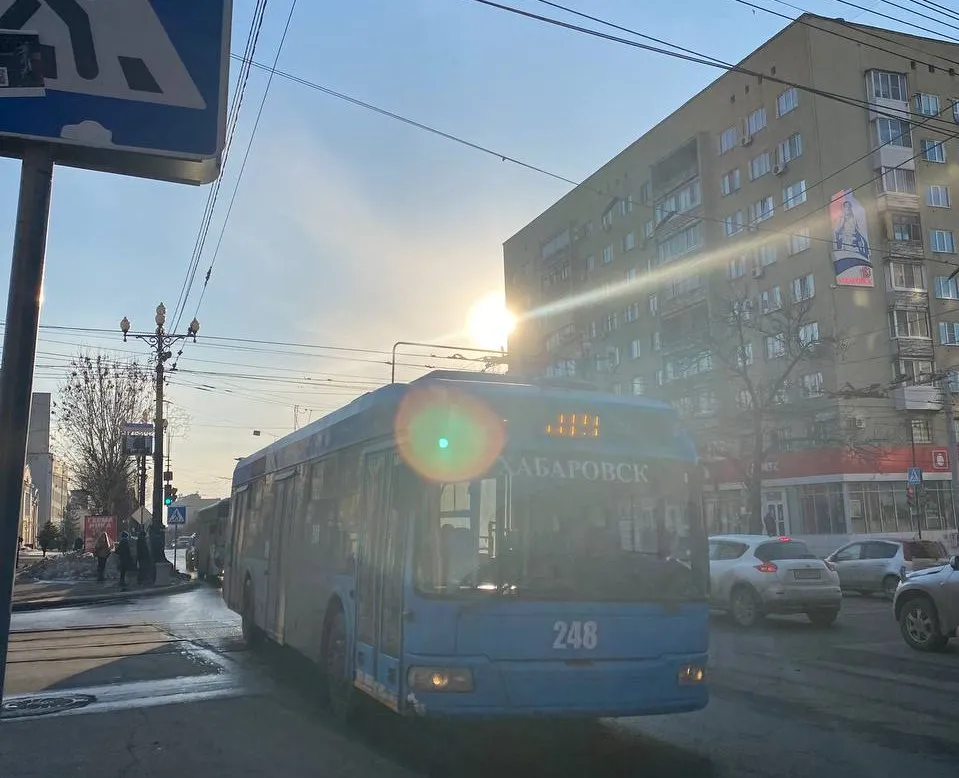 Попала под колеса автобуса и получила серьезные травмы пенсионерка в Хабаровске