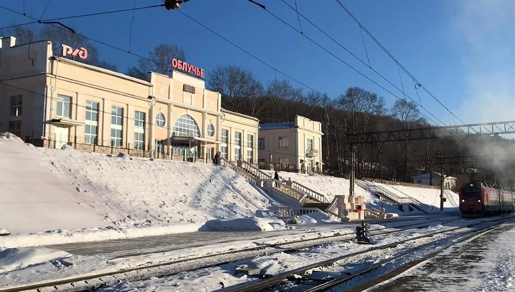 Медалями «За спасение погибавших» награждены железнодорожники из Облучья