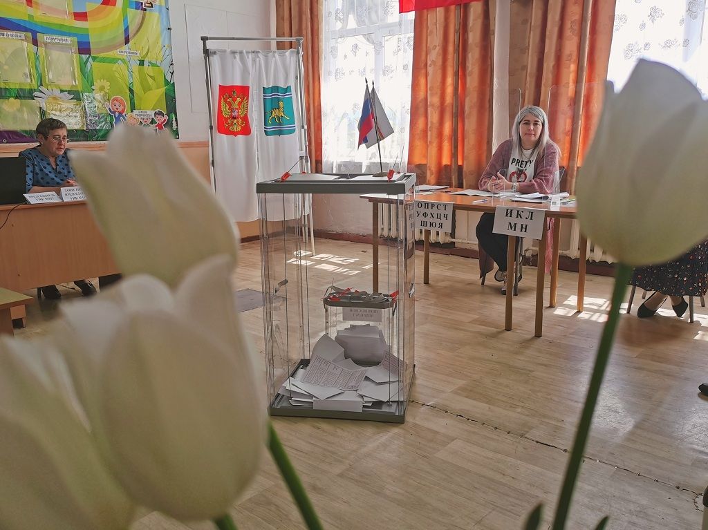 Стали известны итоги выборов депутатов в районные Собрания депутатов ЕАО