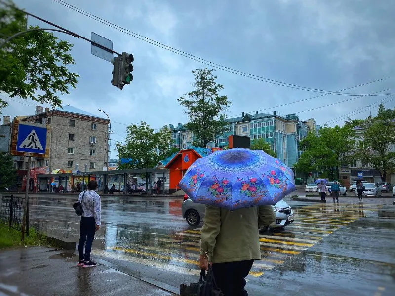 Какой будет погода на длинных выходных в ЕАО - прогноз на 11-13 июня