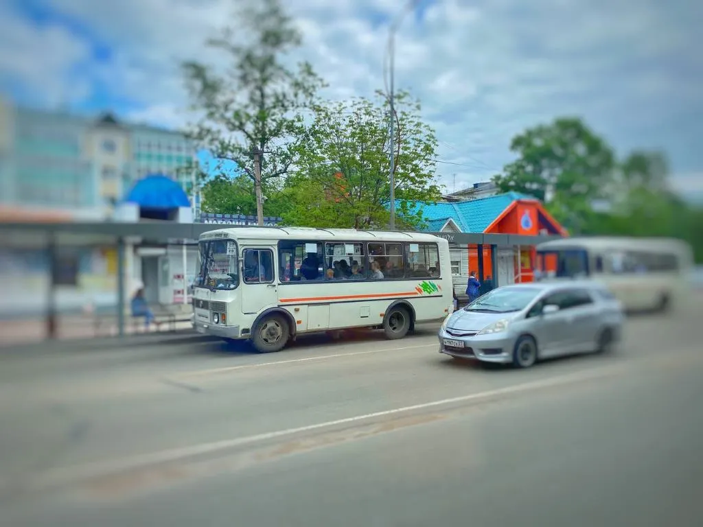 Бесплатно пользоваться общественным транспортом могут дружинники в одном из районов ЕАО