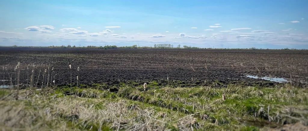 Бесплатно получить участок  земли станет проще многодетным семьям в ЕАО