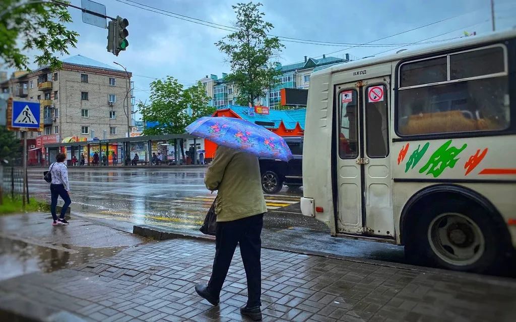 Снова дождливый день прогнозируют в ЕАО - прогноз погоды на 19 июня