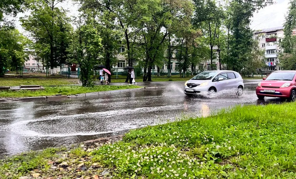 Грозовые дожди возвращаются в ЕАО - прогноз погоды на 7 июля