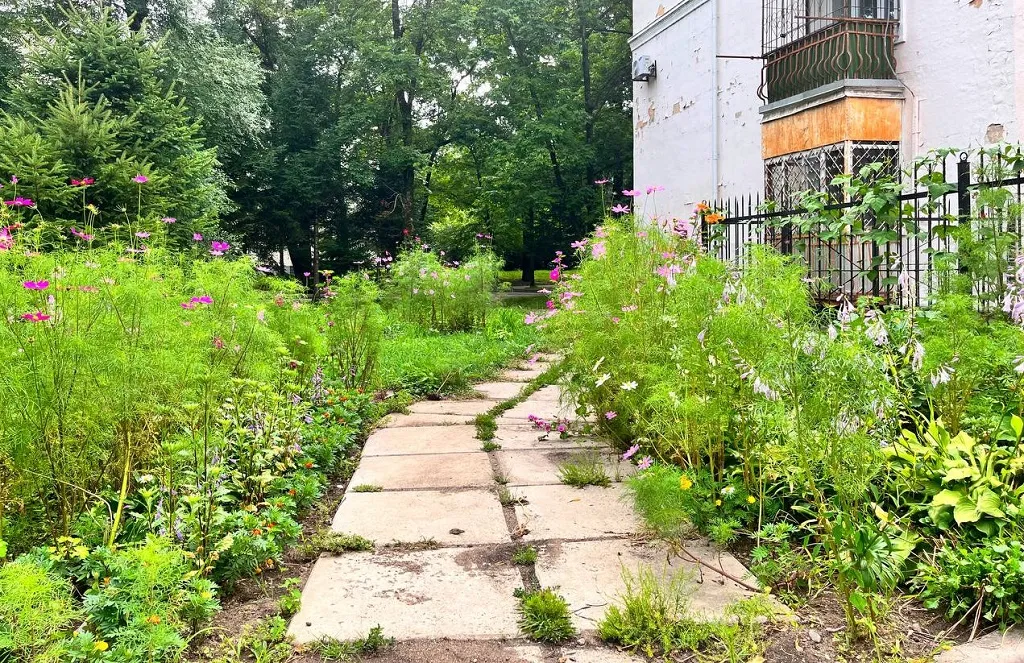 Сильный дождь обещают синоптики в некоторых городах Приамурья - прогноз погоды на 31 июля