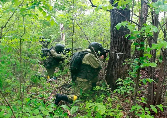 Научат выживать и воевать в дальневосточной тайге разведчиков из ЕАО