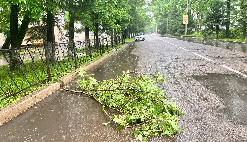 Режим повышенной готовности из-за штормового предупреждения введён энергетиками ЕАО