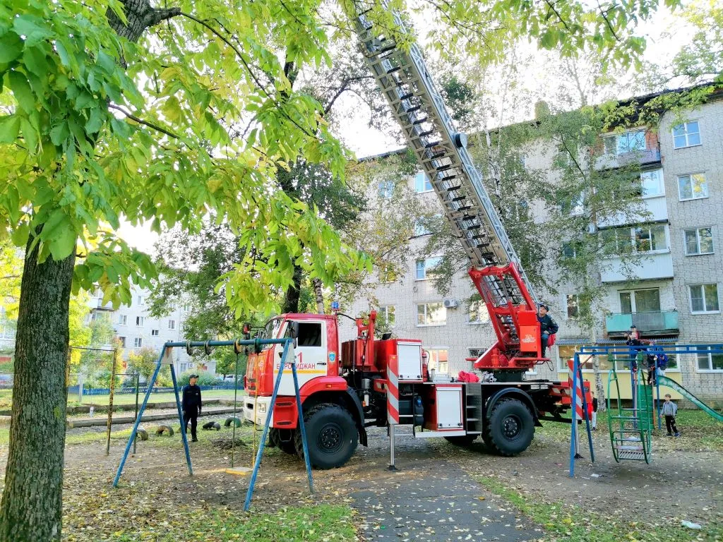 Сняли кота с головокружительной высоты огнеборцы в Биробиджане