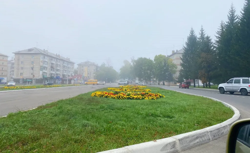 Грозовые ливни, сильные порывы ветра и туман - погода в эти выходные в Приамурье