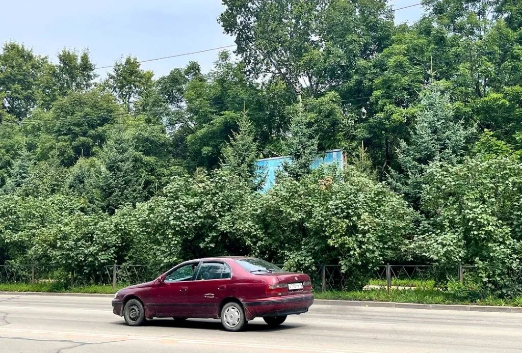 Угнали авто у жителя Облученского района ЕАО