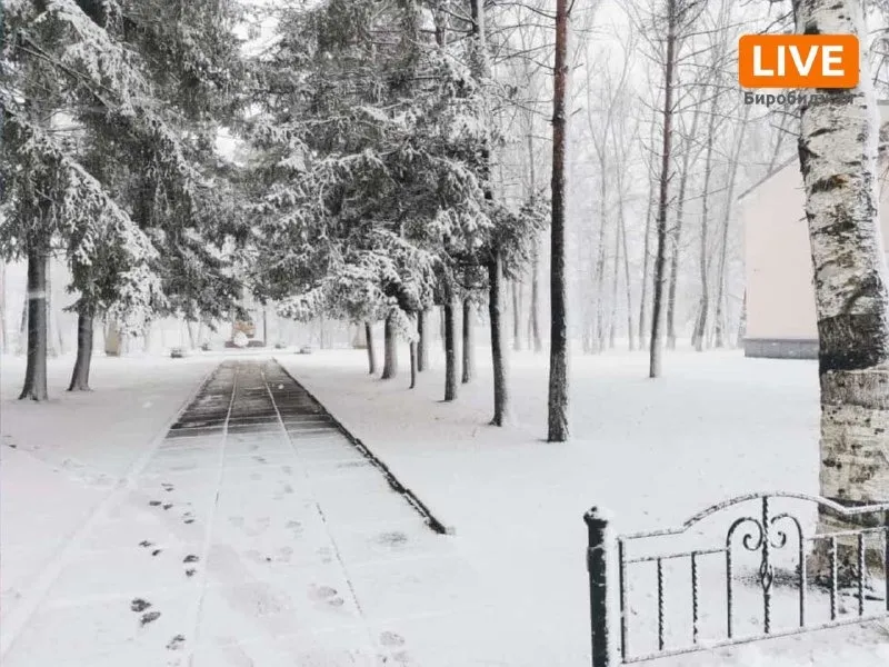 Снегом накрыло Октябрьский район ЕАО