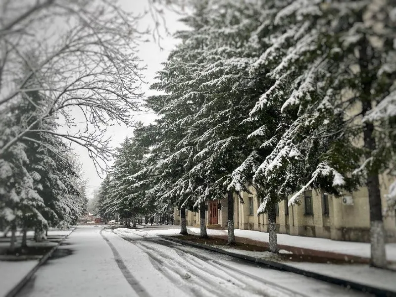 Мощный снежный циклон надвигается на Приамурье