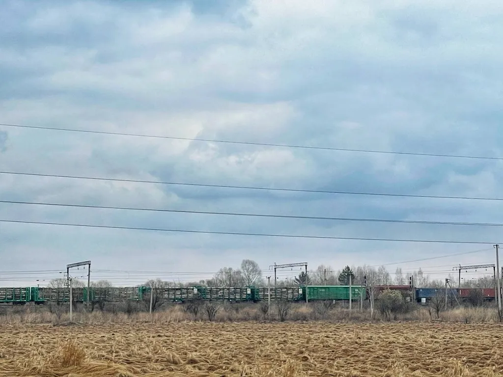 Крали черный металл из грузовых вагонов двое жителей ЕАО