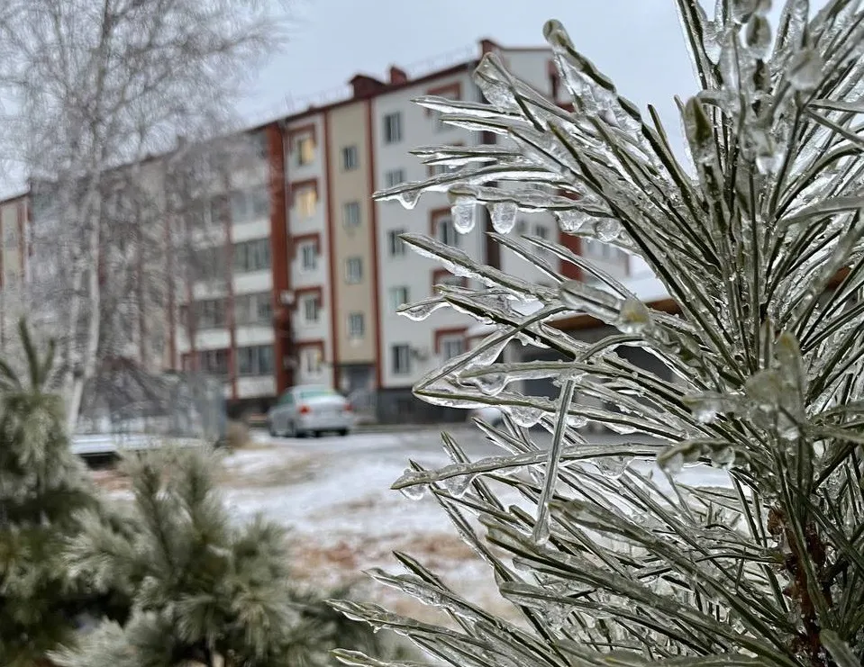 Сильный снег и туман - прогноз погоды на 1 ноября в Приамурье