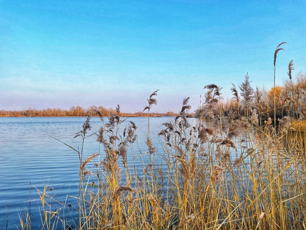 Солнечно и прохладно - прогноз погоды в ЕАО на 18 октября