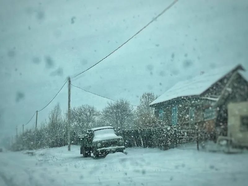 Небольшой снег местами пройдет в Приамурье - погода на 23 ноября