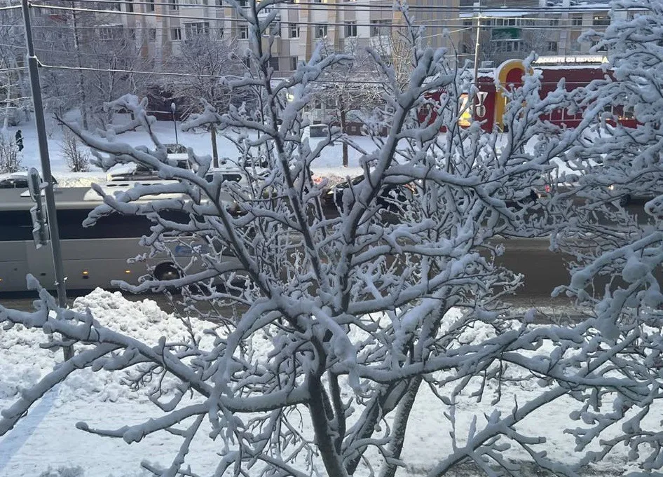 Снег и туман обещают синоптики в Приамурье 17 ноября