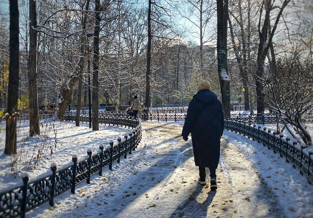 Снег пройдёт в каждом районе ЕАО - прогноз погоды на 26 ноября