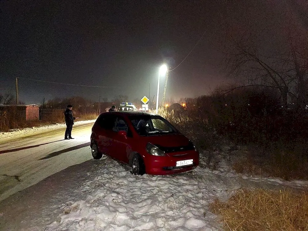 Ребёнок и мать попали под колёса авто на скользкой дороге в Биробиджане