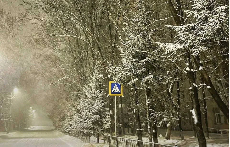 Снежным покрывалом укутало ЕАО после циклона - фоторепортаж