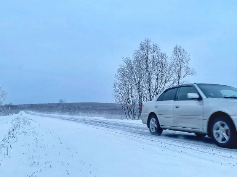 Погибли два человека в аварии с большегрузом на дороге в ЕАО