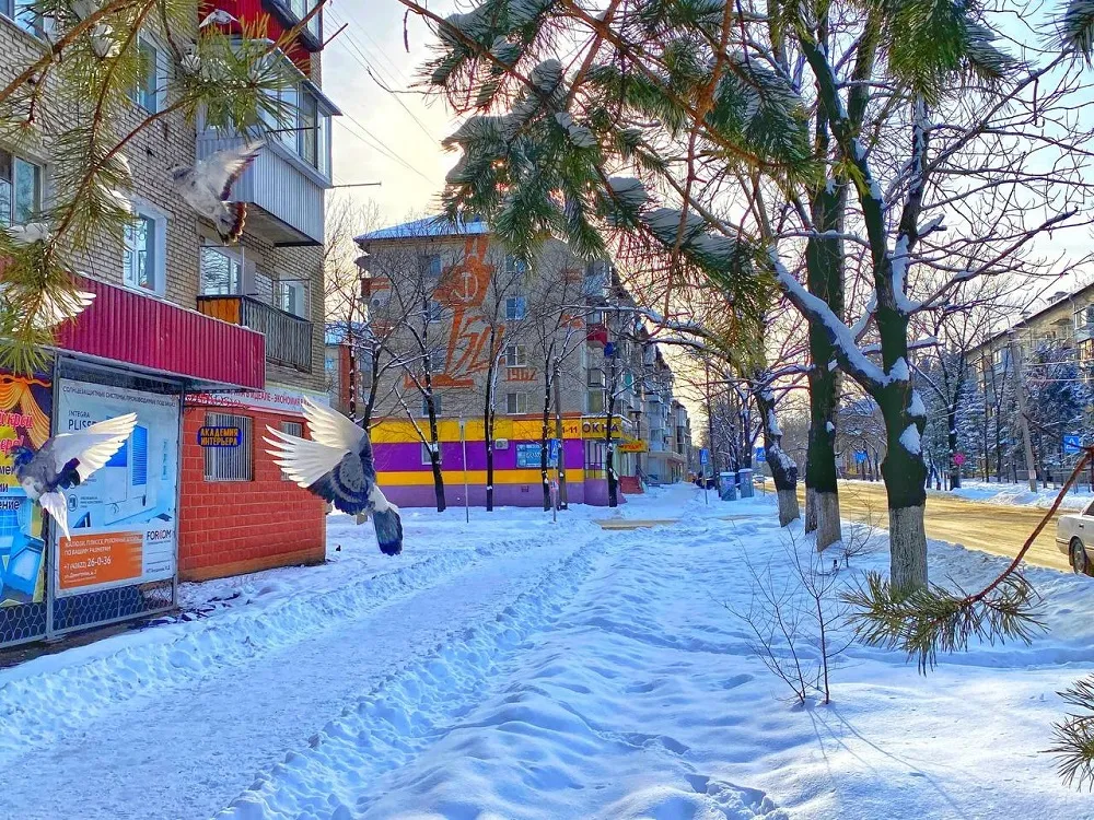 Дайджест важных новостей ЕАО недели 5-11 декабря