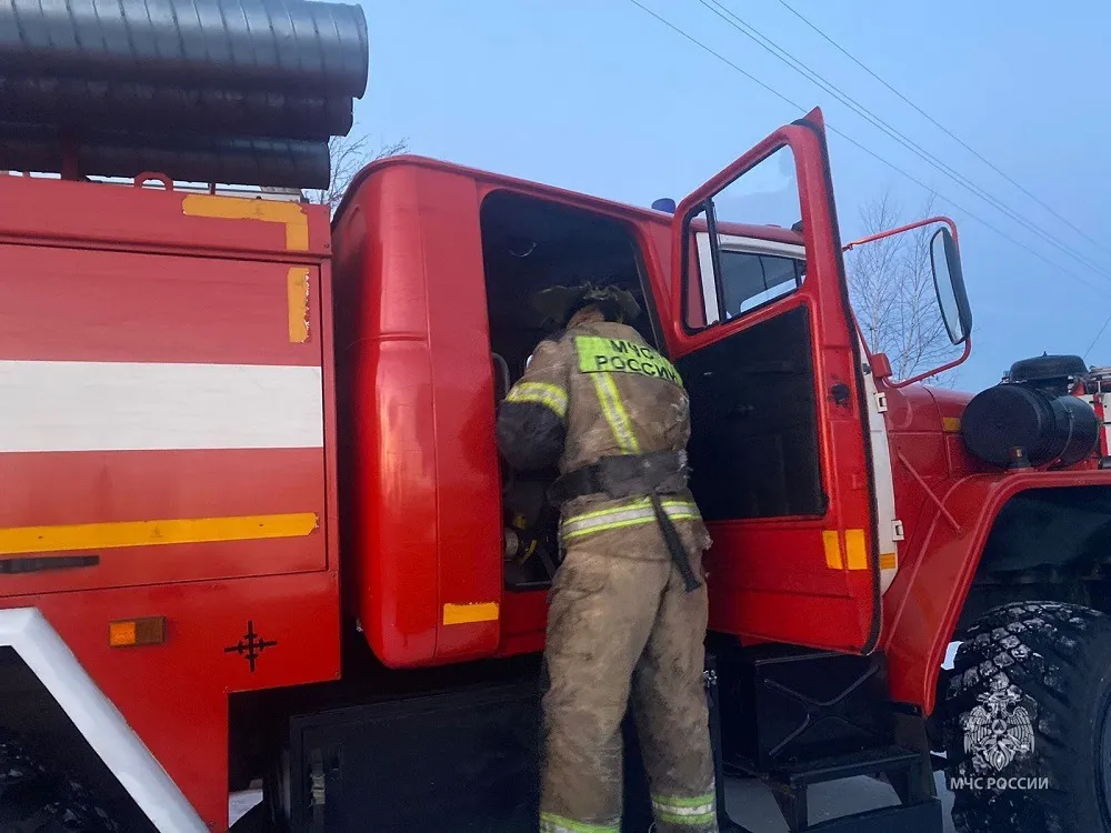 Жертвами огня стали символы Нового года в Смидовичском районе ЕАО