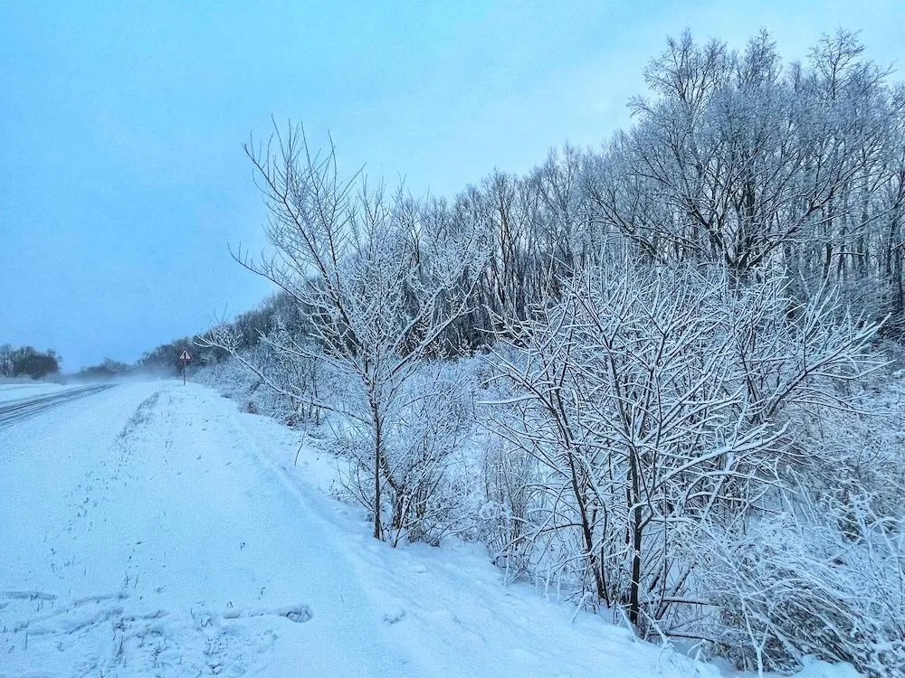 Днём до -27° ожидается в одном из районов ЕАО: погода на 18 декабря