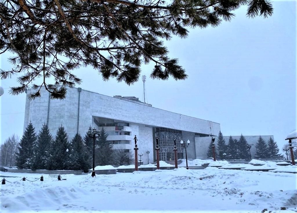 Бесплатно посещать учреждения культуры и спорта смогут дети из многодетных семей ЕАО