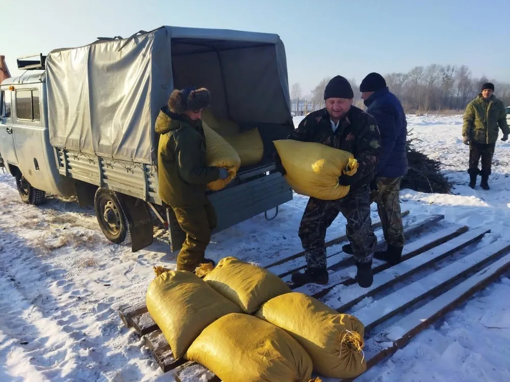 Второй этап стратификации семян кедра корейского начался в ЕАО