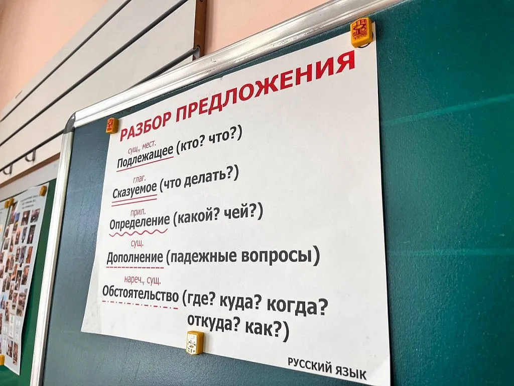 Более 30 выпускников получили медали «За особые успехи в учении» в 2022 году в ЕАО