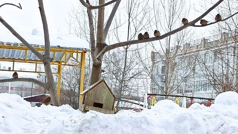 До -42°С ночью прогнозируется в ЕАО - погода на 21 января