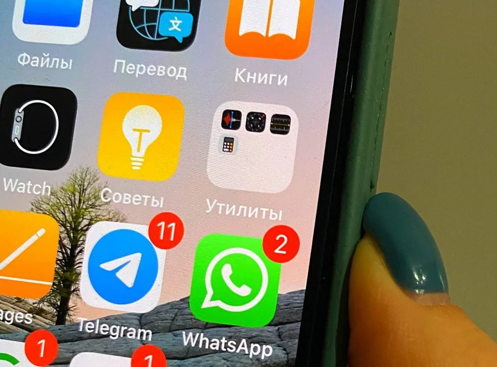 Новая функция появилась в WhatsApp