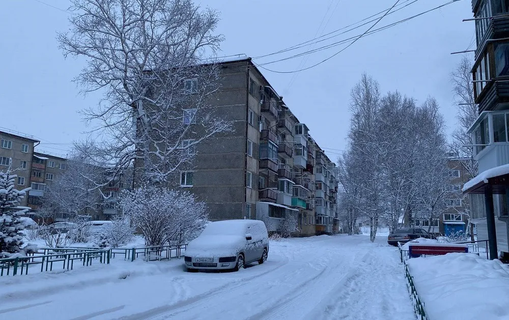 Местами снег и сильные порывы ветра - прогноз погоды в ЕАО на 13 января