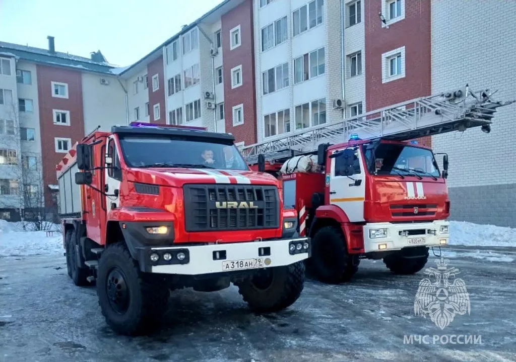 Детская шалость или поджог: дважды выезжали на пожары спасатели в ЕАО