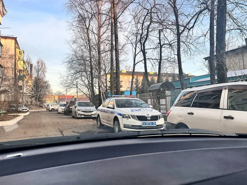 Пьяного и без прав задержали водителя полицейские в Биробиджане