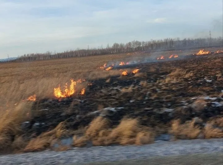 Два первых лесных пожара зафиксированы на территории ЕАО