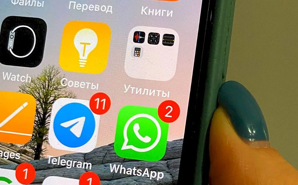 Голосовое сообщение в WhatsApp «оценила» в 5 тысяч рублей прокуратура ЕАО