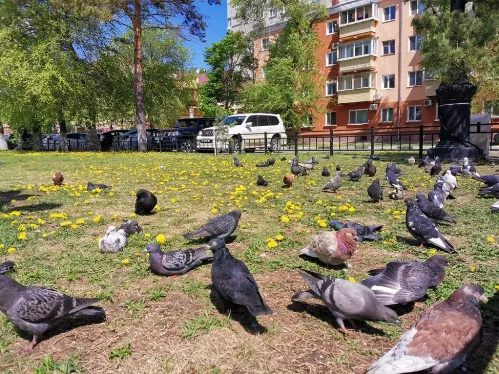 Жару выше 30°С обещают в ЕАО 24 мая - прогноз