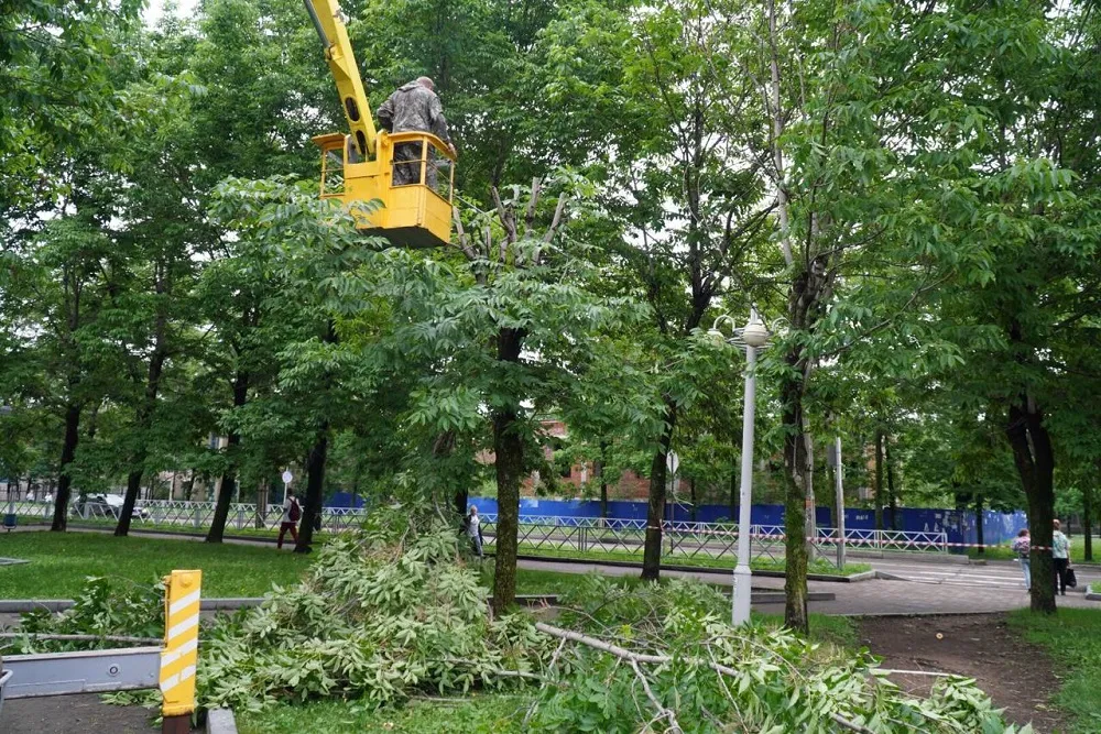 Что делают со спиленными ветками в Биробиджане