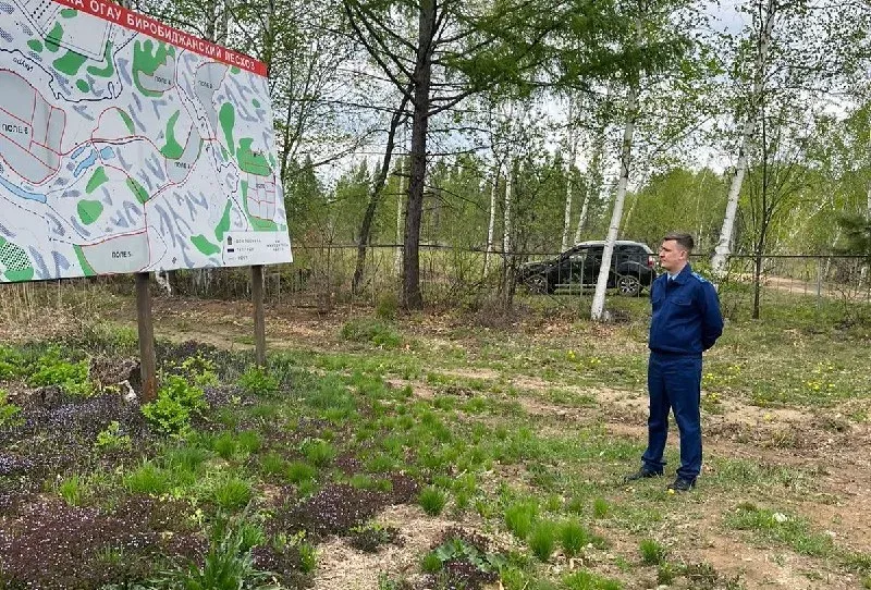 Самовольно заняла земельный участок госорганизация в ЕАО