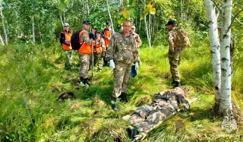 В ЕАО завершились поиски пропавшего грибника