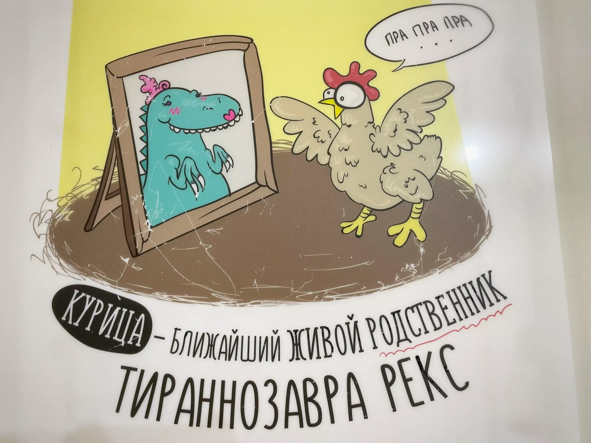 «Куры чьи?»: Жареных цыплят сомнительного качества обнаружил Россельхознадзор в ЕАО