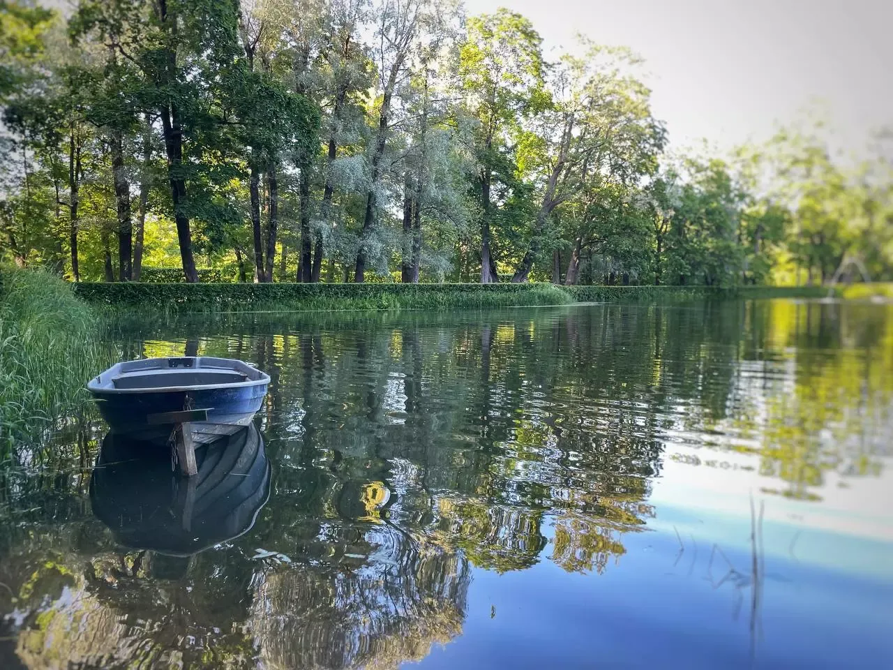 Одна утонула, вторую спасли: девочка погибла на водоёме в ЕАО