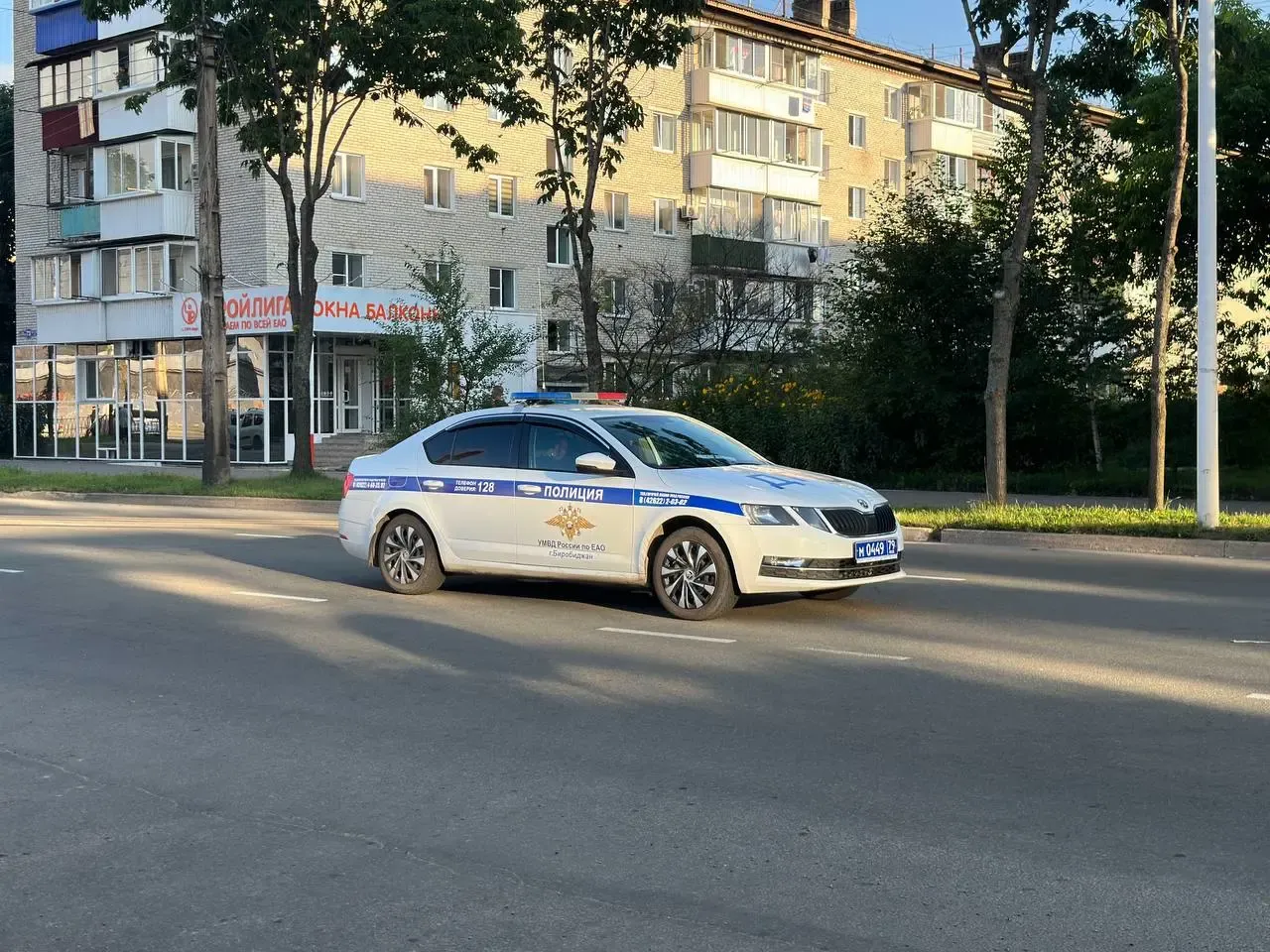 Автоледи осудили за повторную езду в нетрезвом виде в Биробиджане