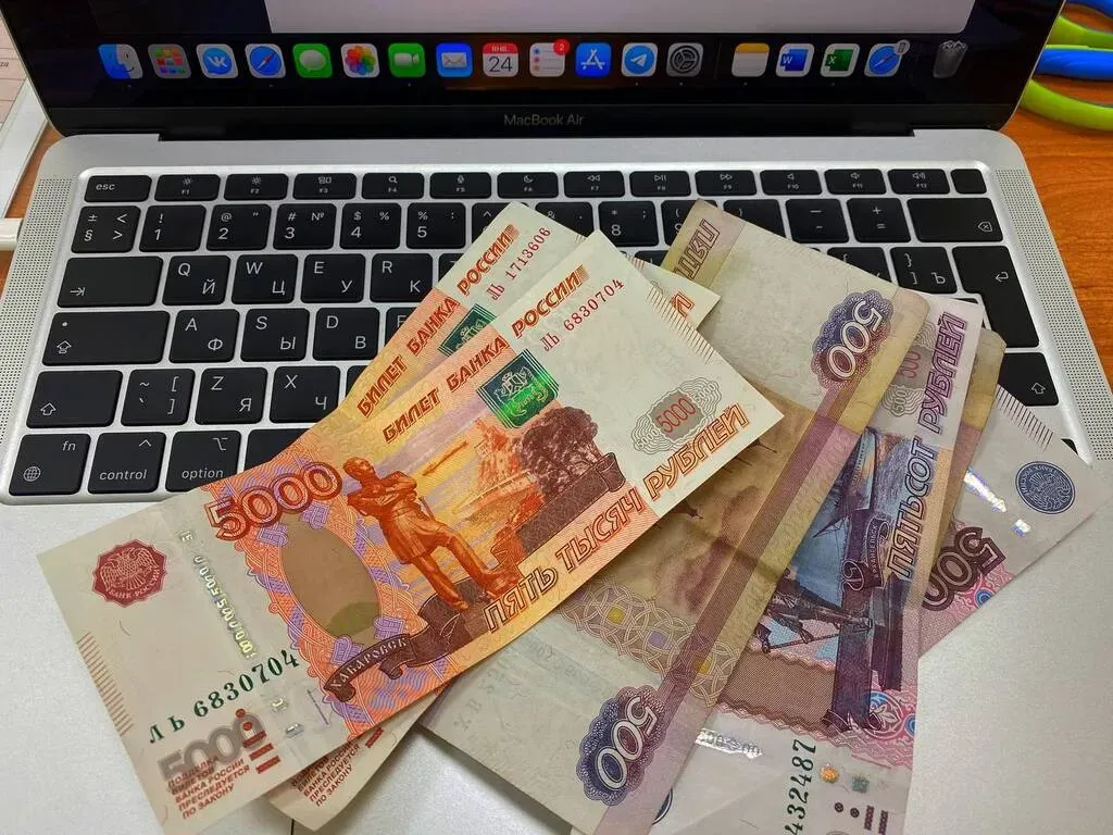 Звонок по поводу «Госуслуг» обошёлся в почти 1.5 млн рублей жителю ЕАО
