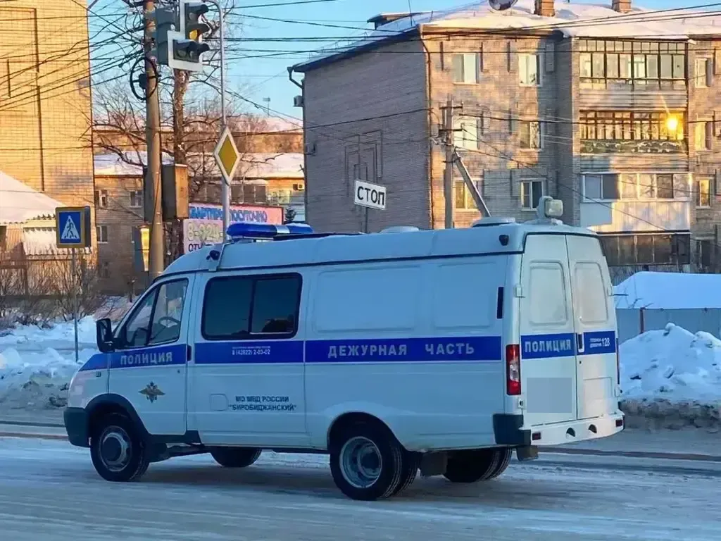 Два уголовных дела завели на серийного вора одежды в Биробиджане