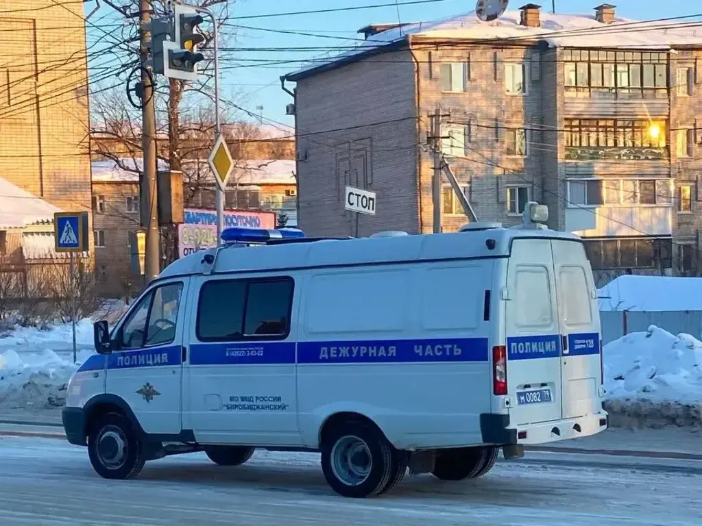 Под колёса машины попала девочка, перебегавшая дорогу на красный свет в Биробиджане